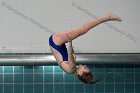Diving vs Babson  Wheaton College Diving vs Babson College. - Photo By: KEITH NORDSTROM : Wheaton, Diving